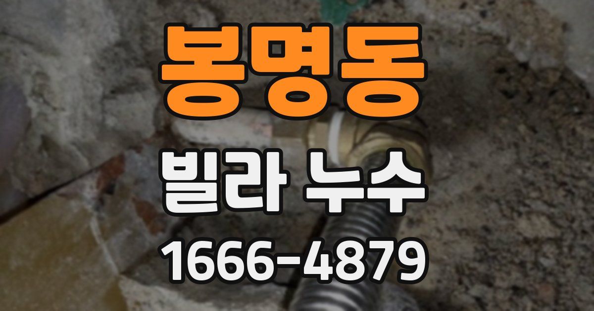 봉명동 빌라 누수