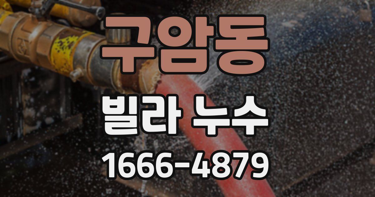 구암동 빌라 누수
