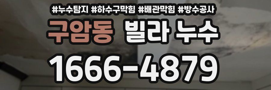 구암동 빌라 누수