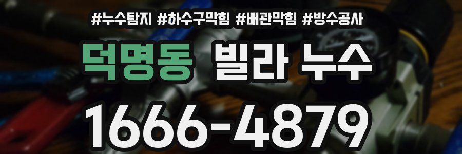 덕명동 빌라 누수