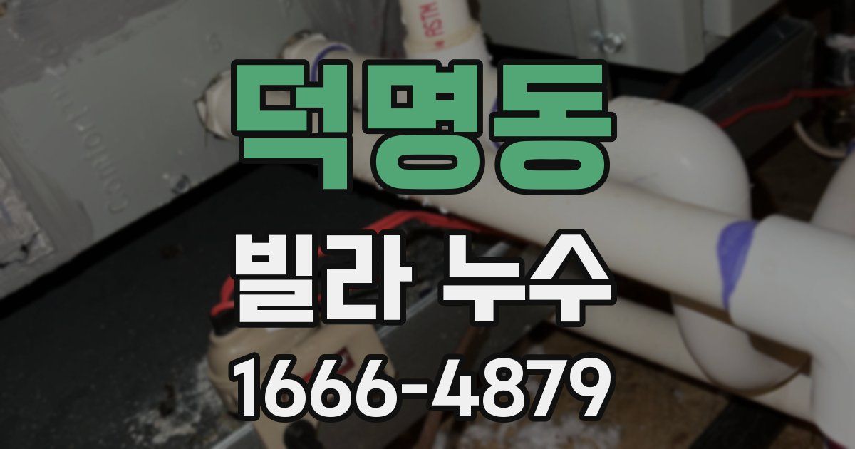 덕명동 빌라 누수