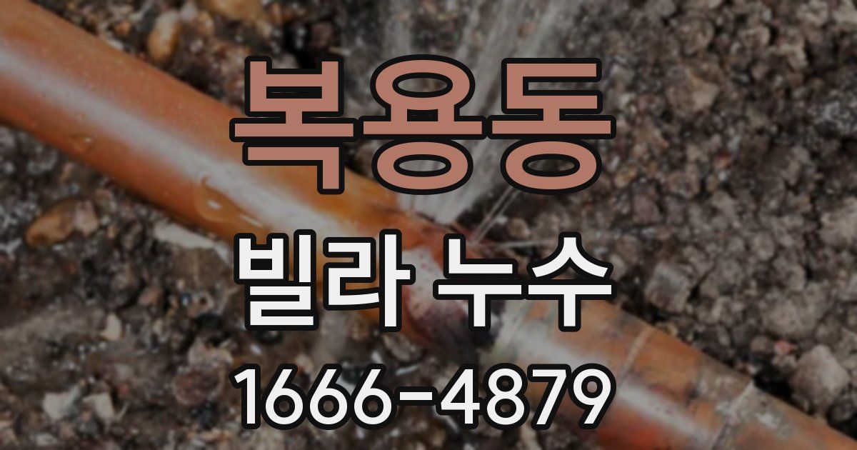 복용동 빌라 누수