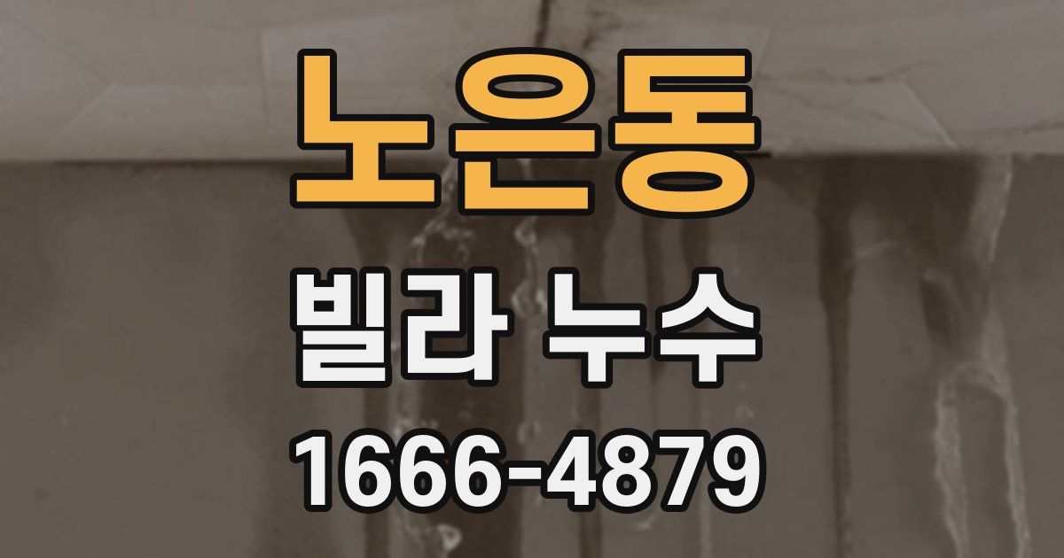 노은동 빌라 누수