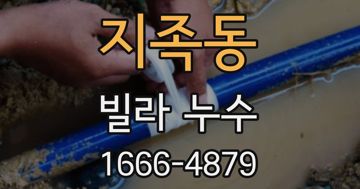 지족동 빌라 누수