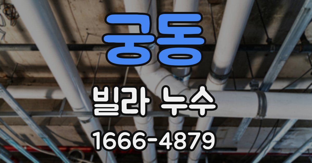 궁동 빌라 누수