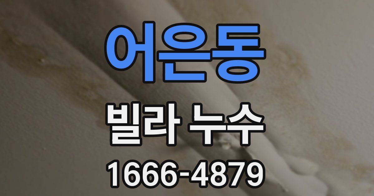 어은동 빌라 누수