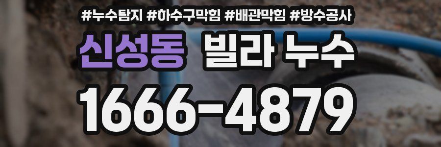 신성동 빌라 누수