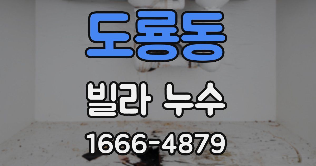 도룡동 빌라 누수