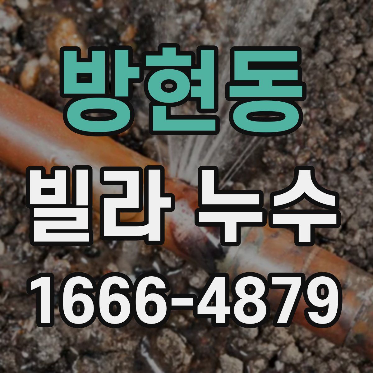 방현동 빌라 누수