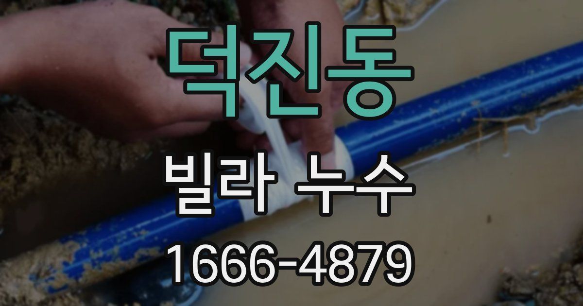 덕진동 빌라 누수