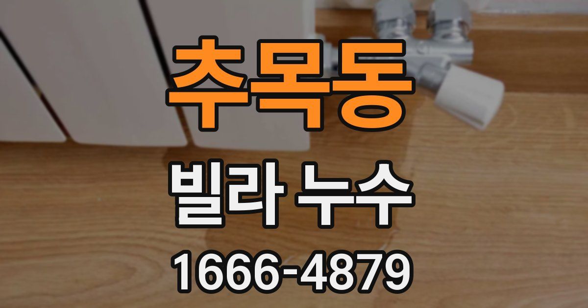 추목동 빌라 누수