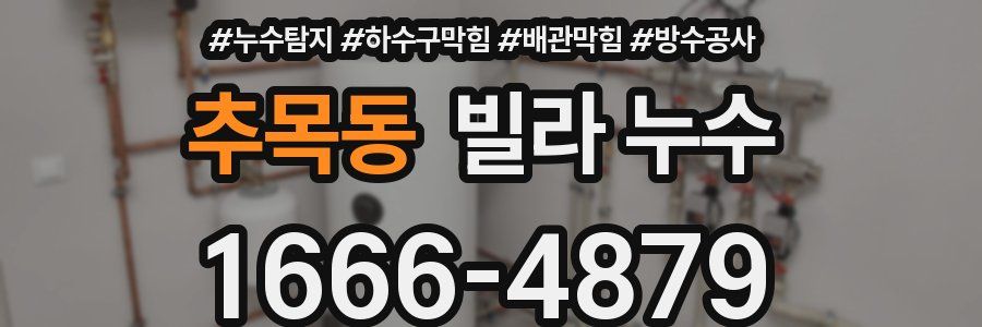 추목동 빌라 누수