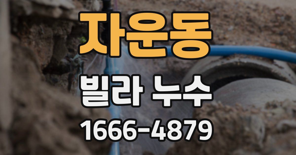 자운동 빌라 누수