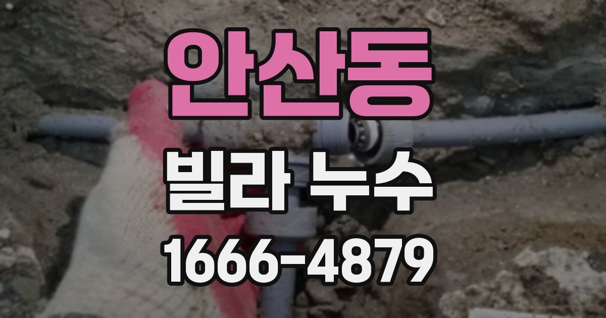 안산동 빌라 누수