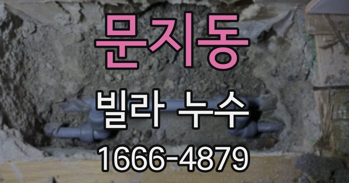 문지동 빌라 누수