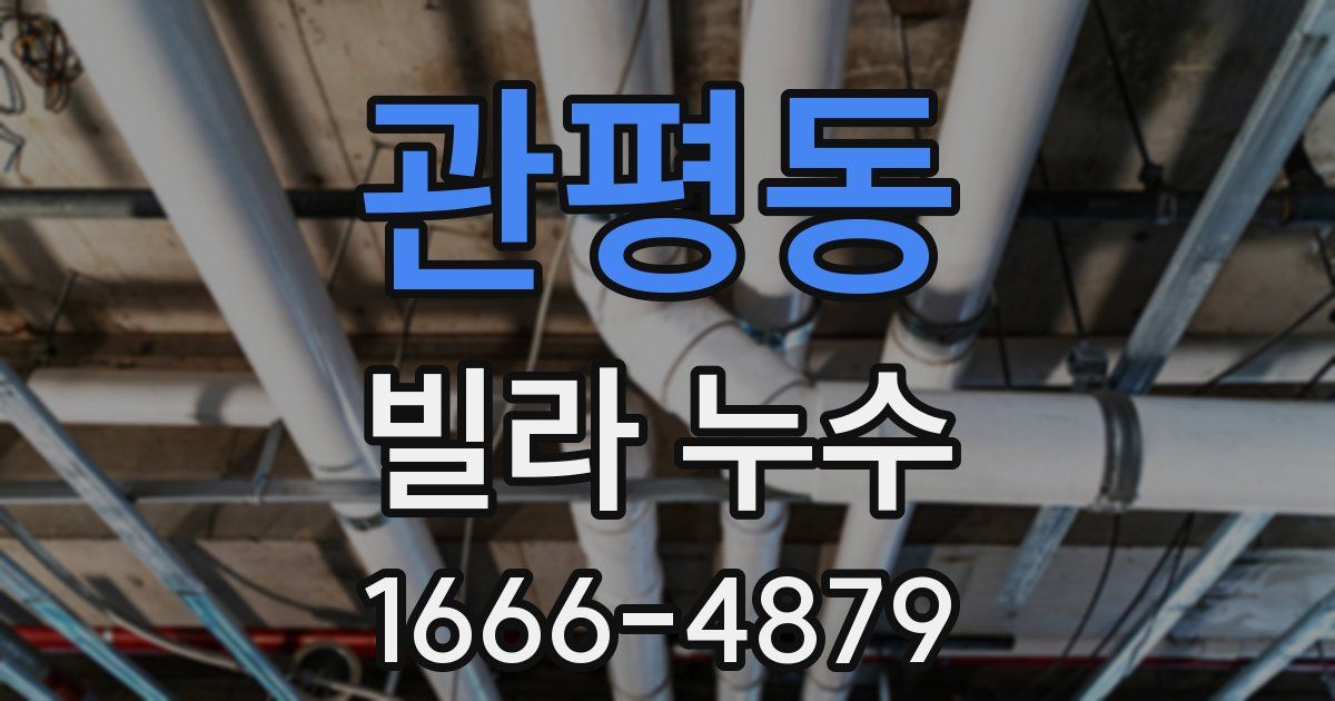관평동 빌라 누수
