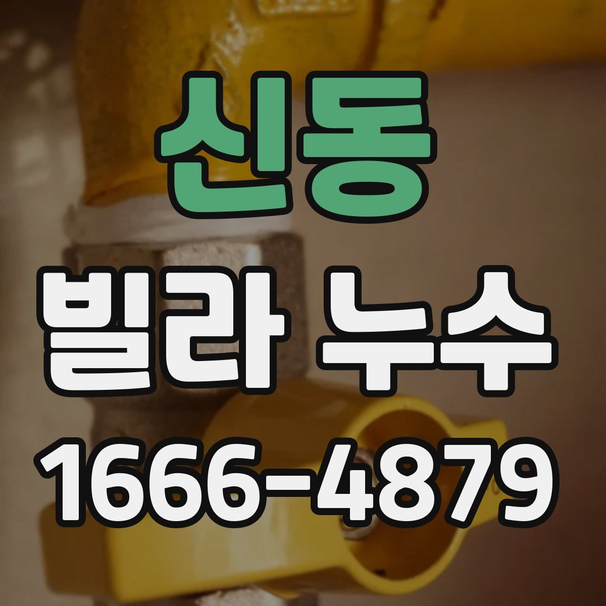 신동 빌라 누수