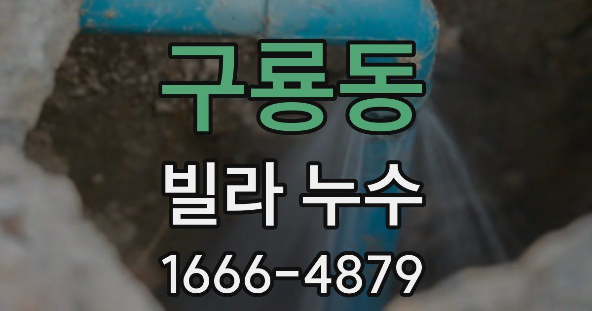 구룡동 빌라 누수