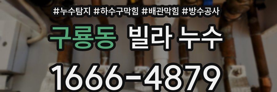 구룡동 빌라 누수