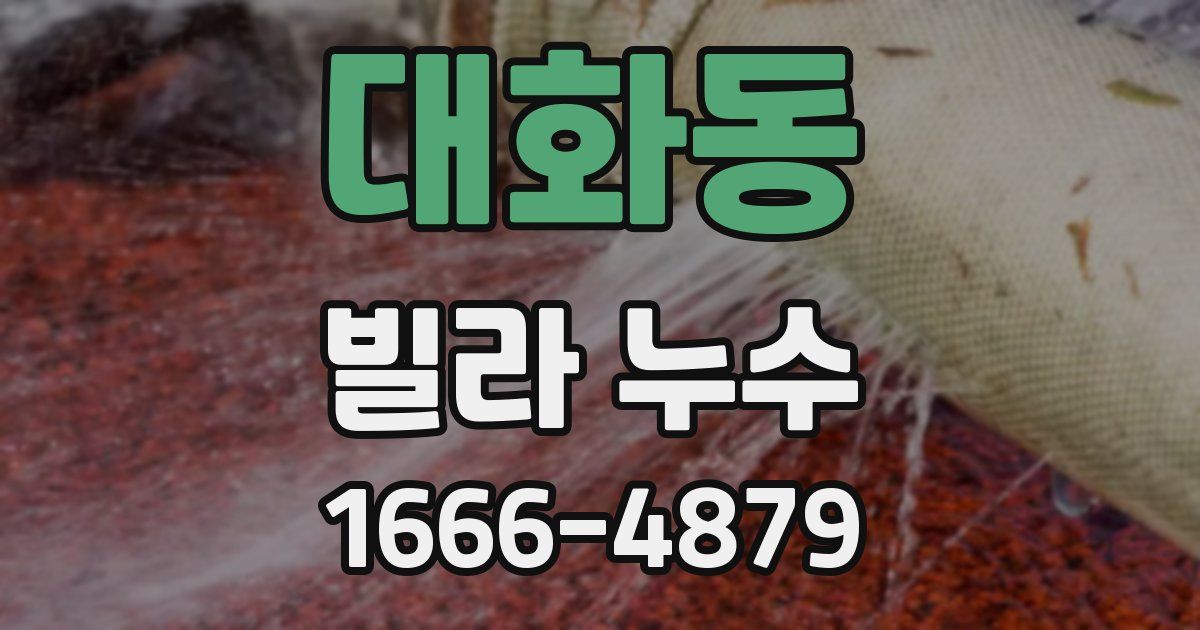 대화동 빌라 누수