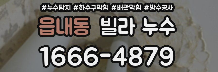 읍내동 빌라 누수