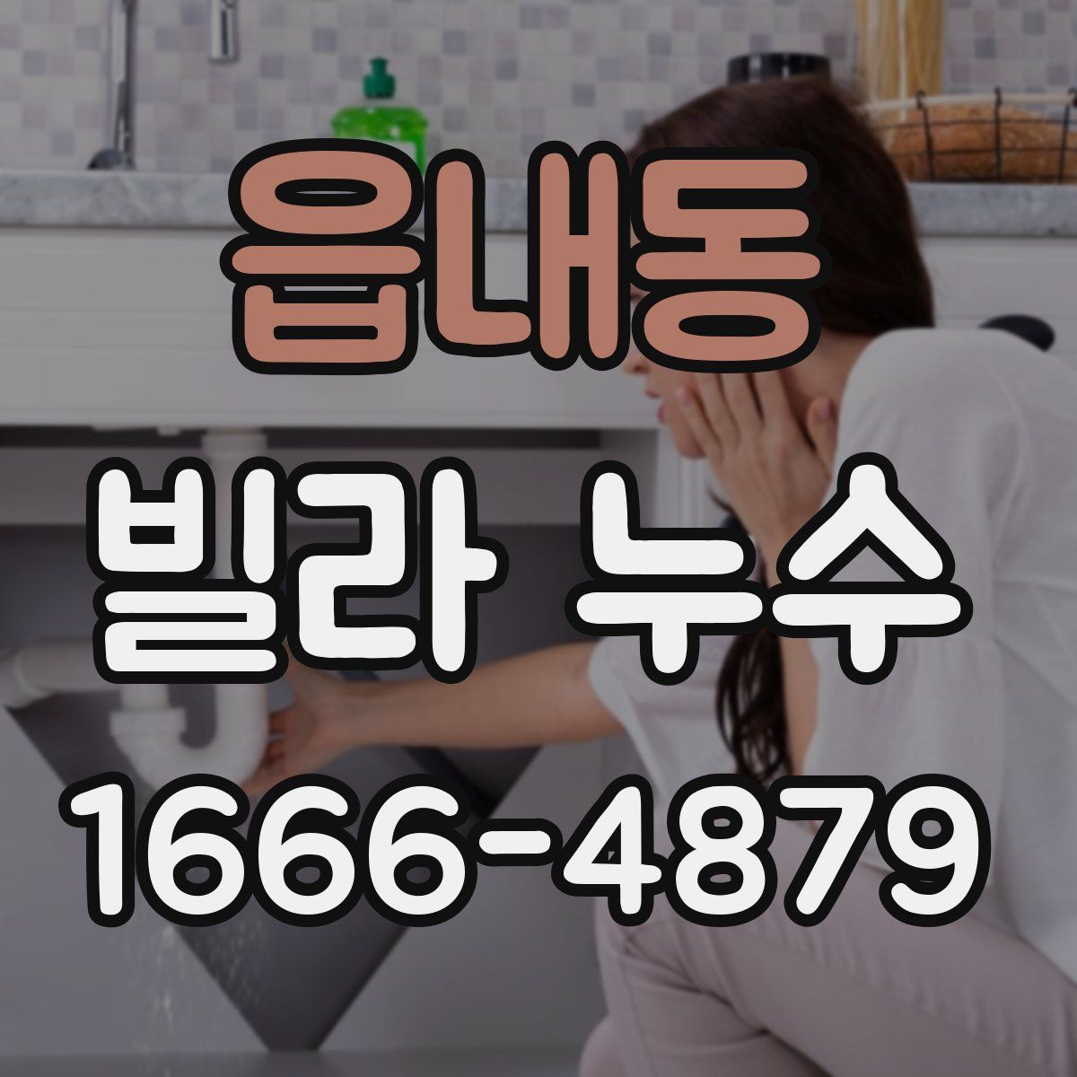 읍내동 빌라 누수