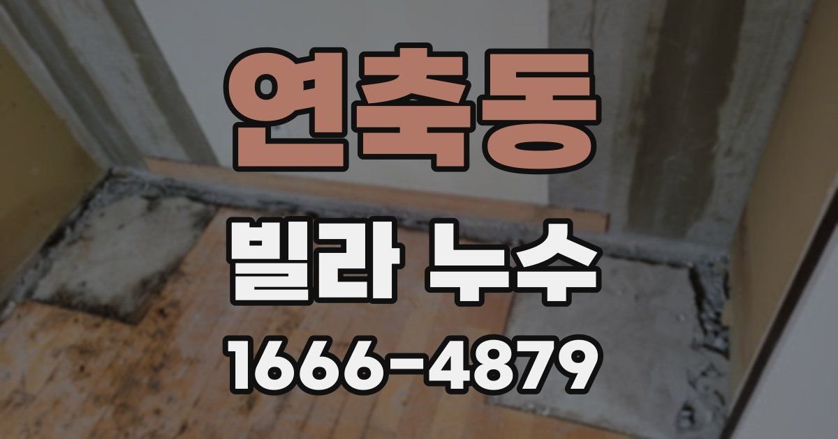 연축동 빌라 누수