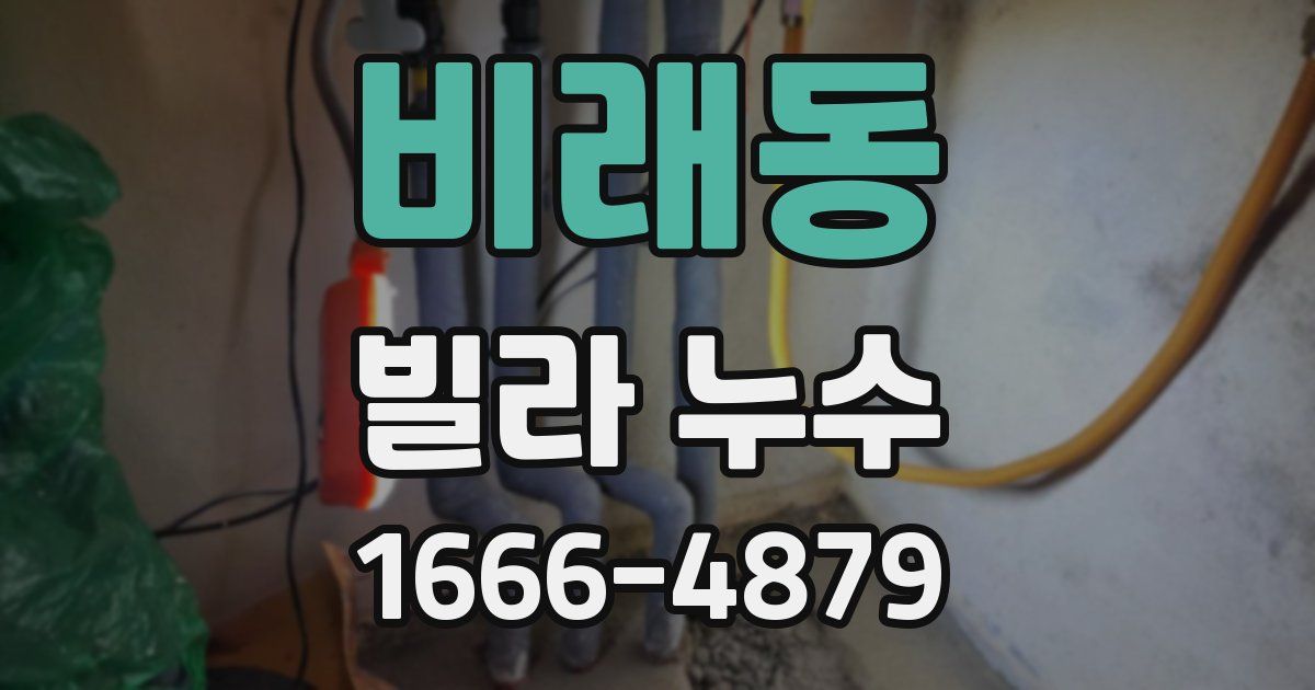 비래동 빌라 누수