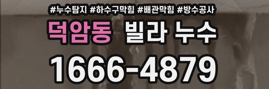 덕암동 빌라 누수