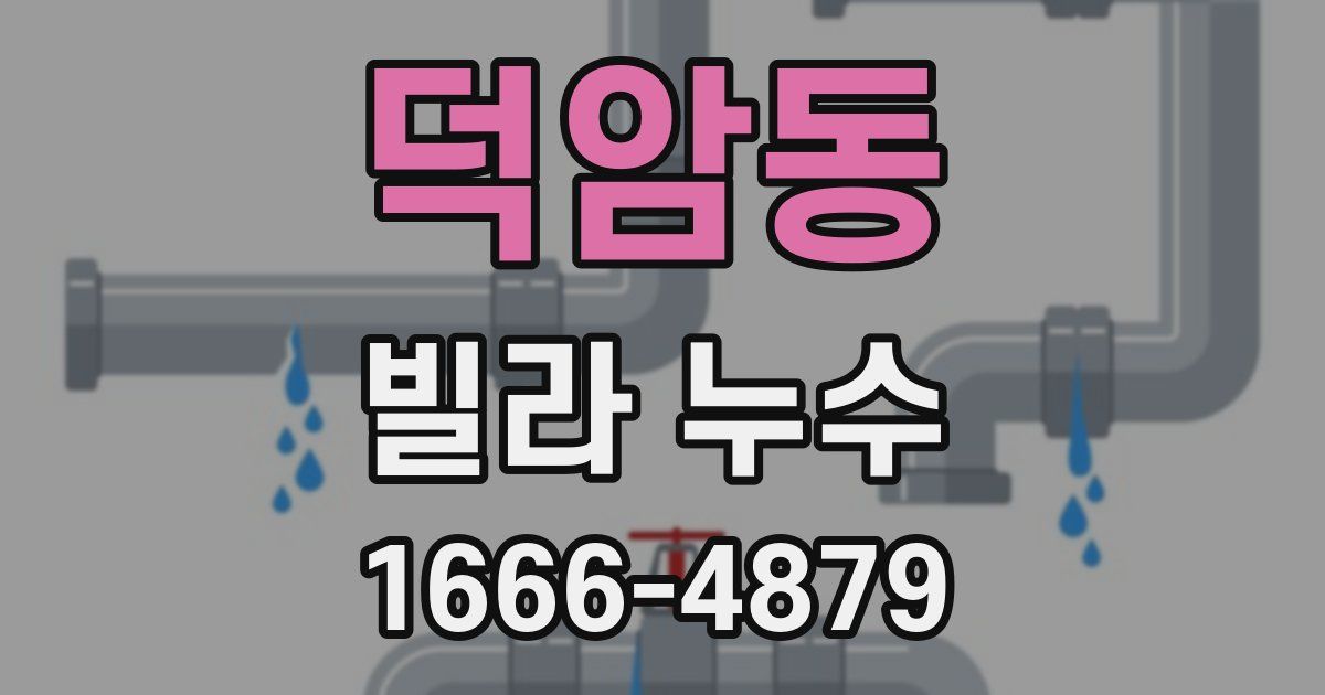 덕암동 빌라 누수