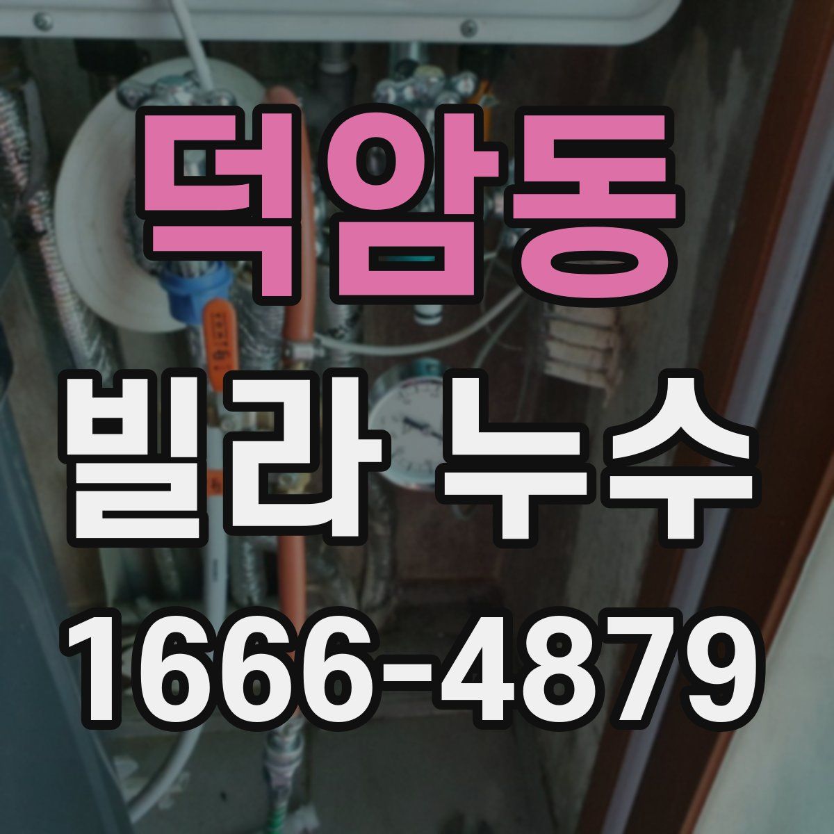 덕암동 빌라 누수