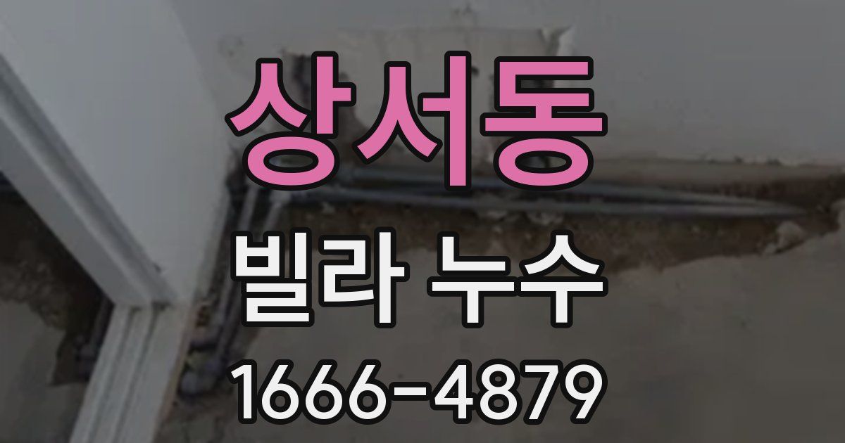 상서동 빌라 누수