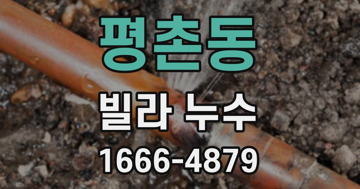 평촌동 빌라 누수