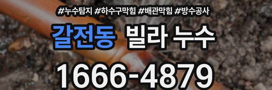 갈전동 빌라 누수