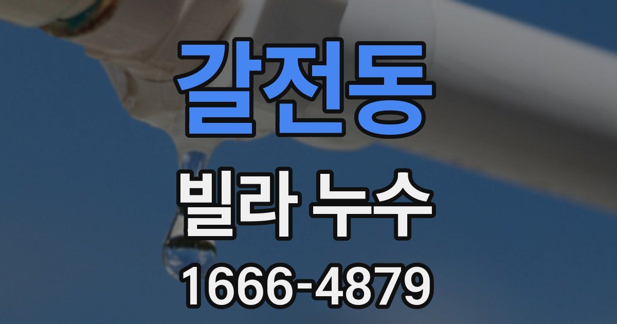 갈전동 빌라 누수