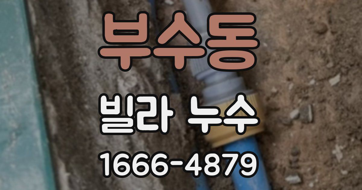 부수동 빌라 누수
