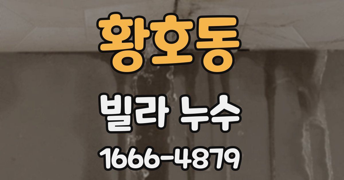 황호동 빌라 누수