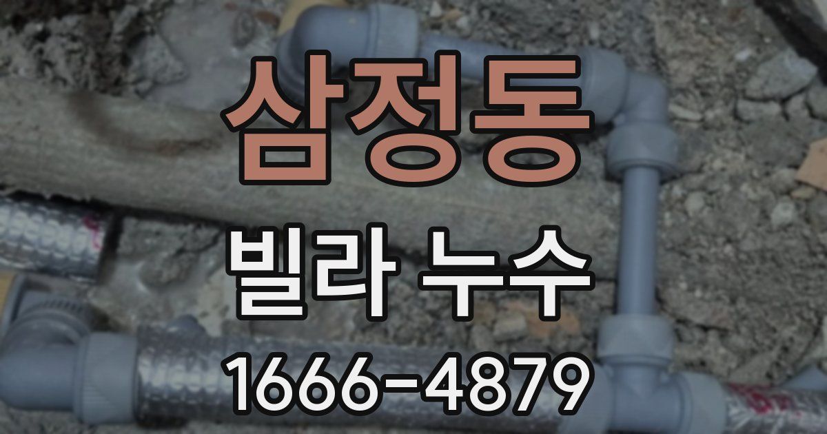 삼정동 빌라 누수