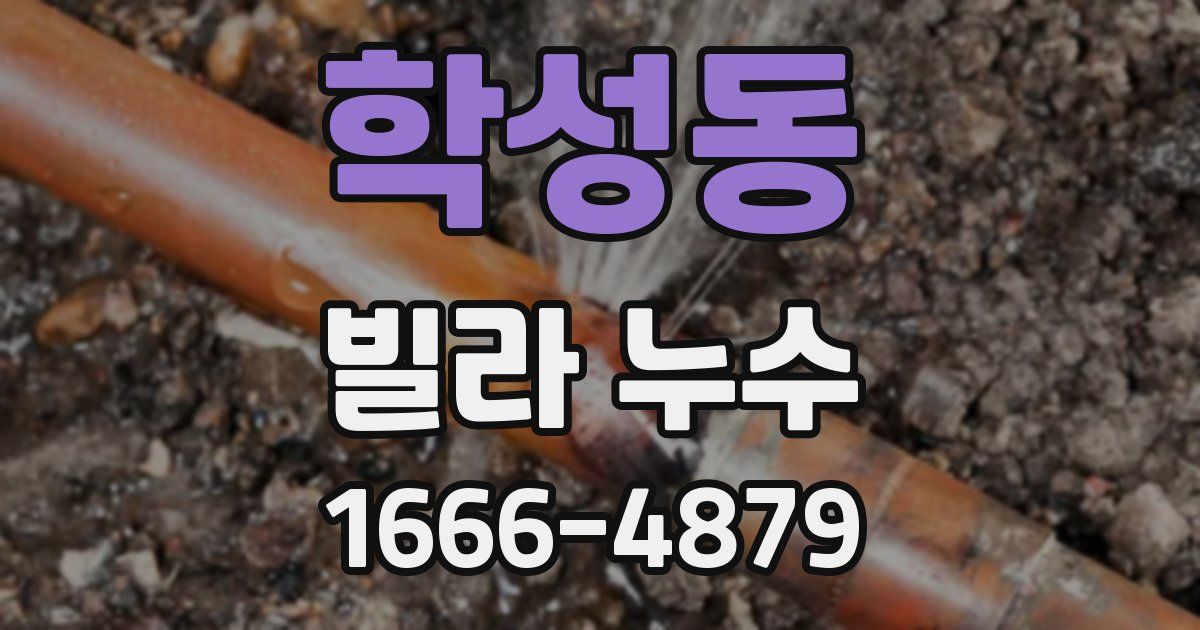 학성동 빌라 누수