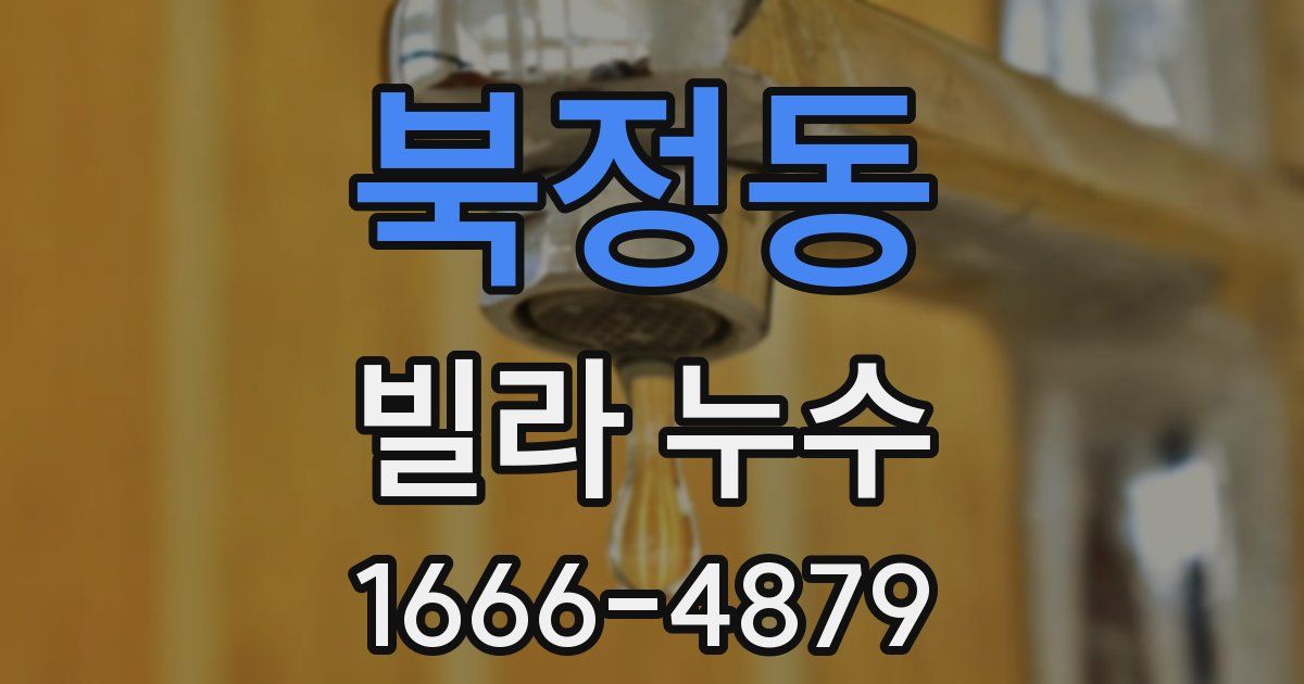 북정동 빌라 누수