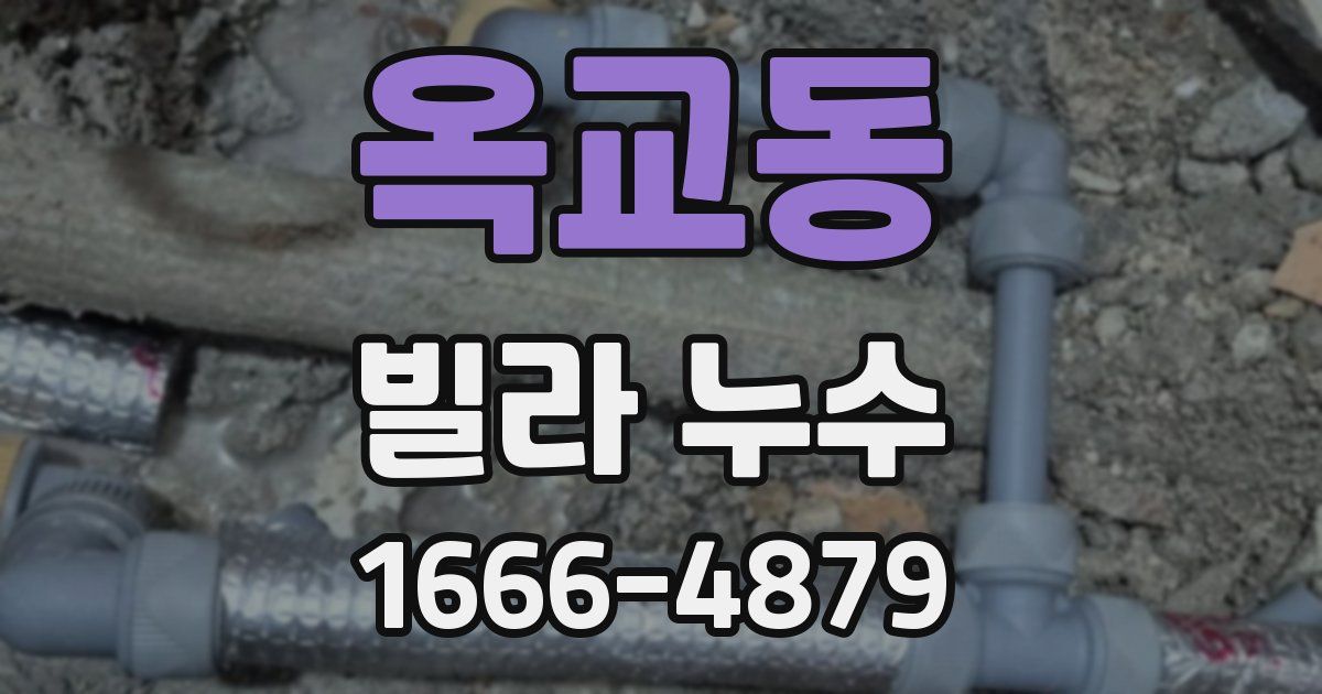 옥교동 빌라 누수