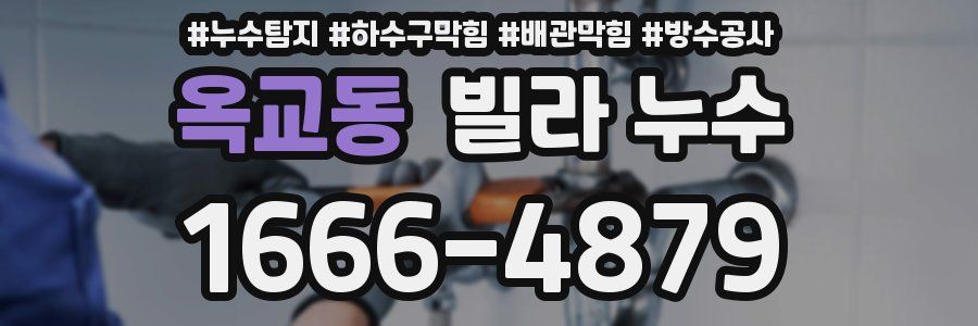 옥교동 빌라 누수