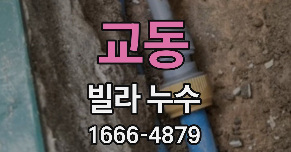 교동 빌라 누수