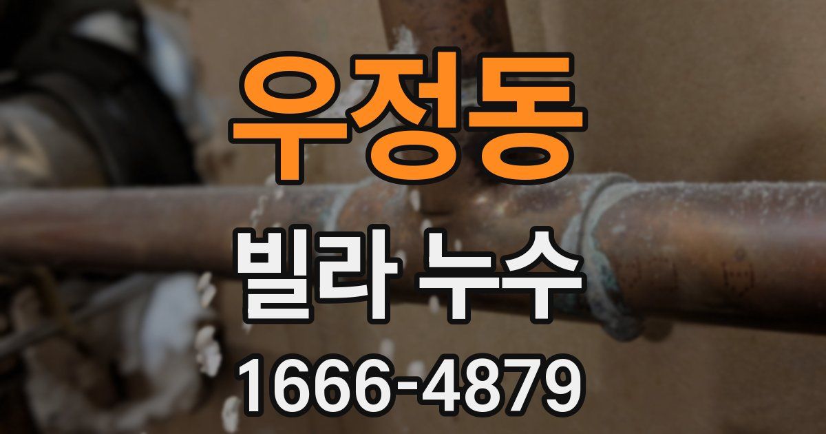 우정동 빌라 누수