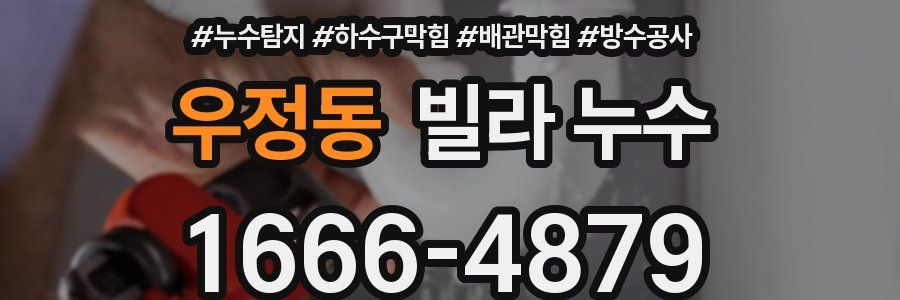 우정동 빌라 누수