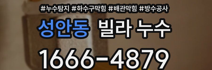 성안동 빌라 누수