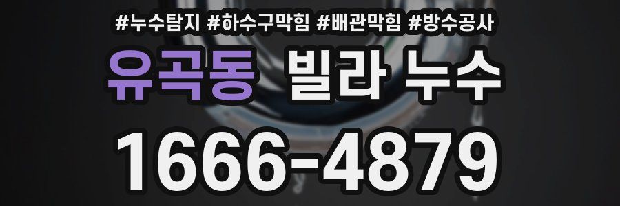 유곡동 빌라 누수