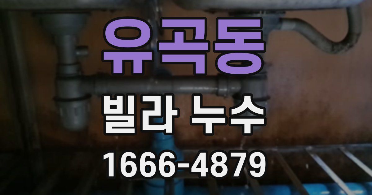 유곡동 빌라 누수