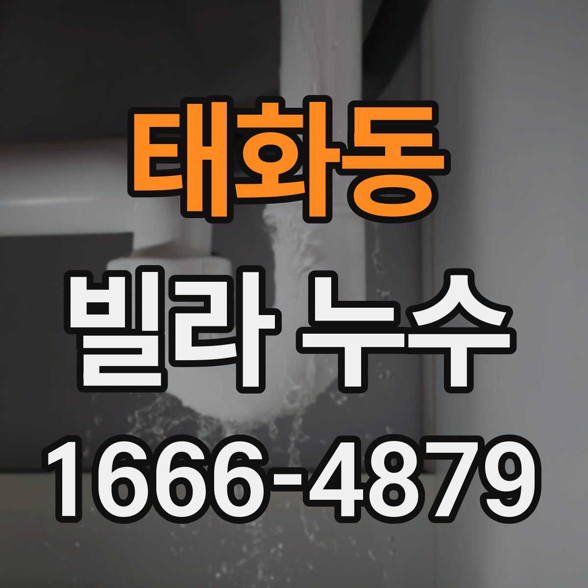 태화동 빌라 누수
