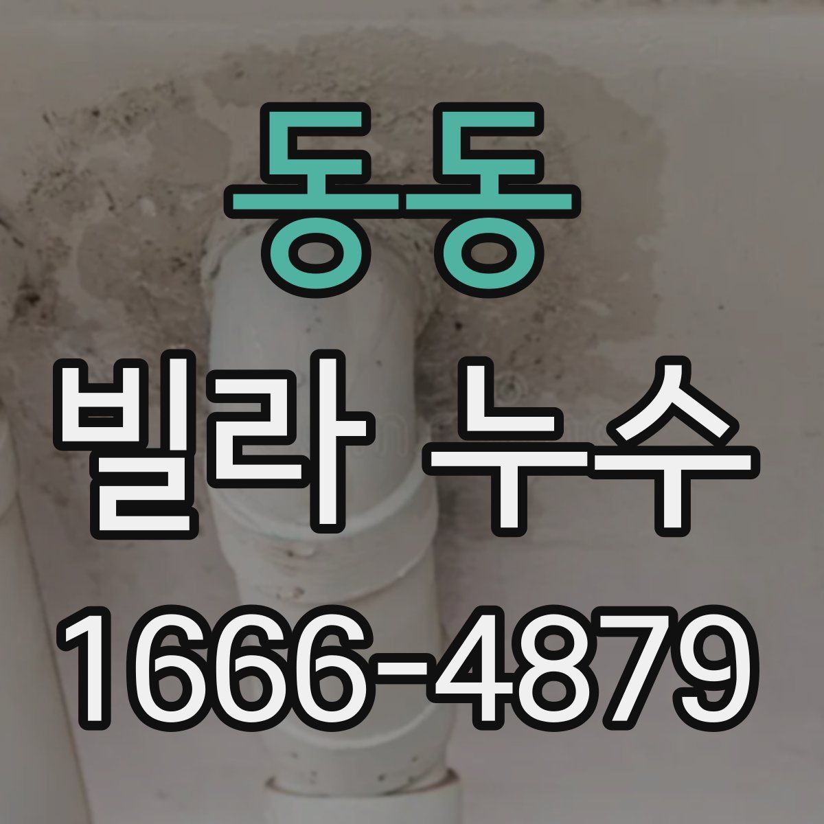 동동 빌라 누수